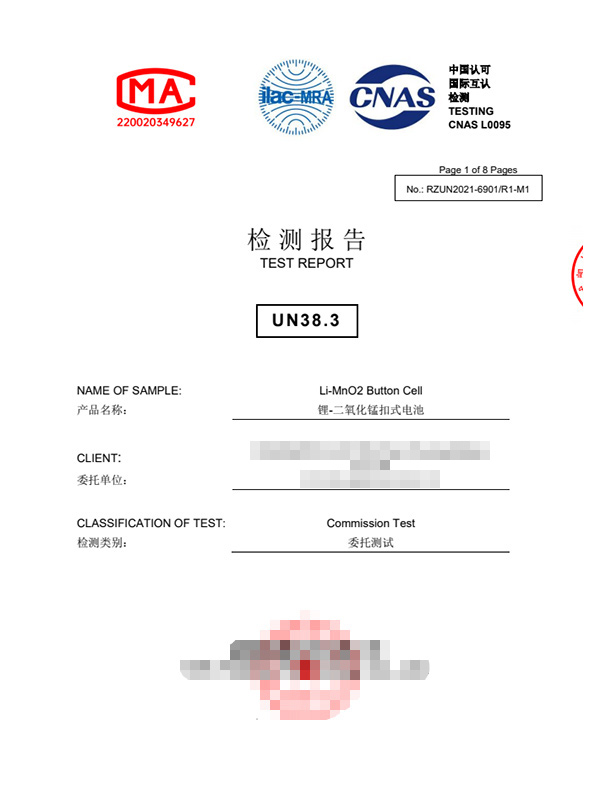 RZUN2021-6901R1-M1电子版报告-XG